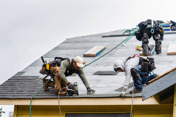 Professional Gutter Installation technician working in Senoia, GA